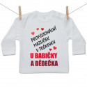 Tričko s dlouhým rukávem Profesionální mazlíček v tréninku u babičky a dědečka